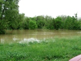 Scott County KY